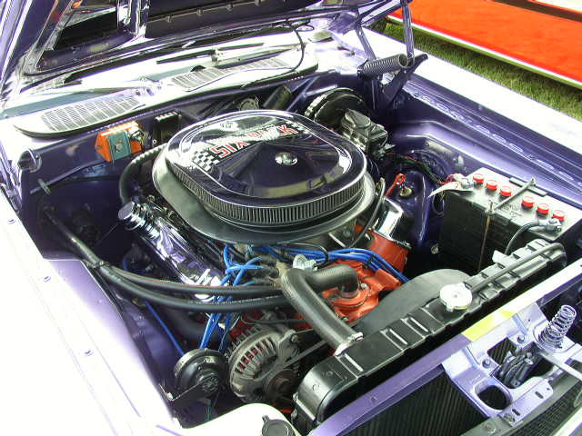 P1010186.JPG